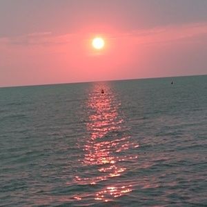 Meet your Posher, Bridget